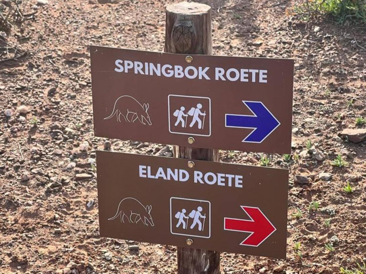 ליידיסמית Aardvark Bioreserve מראה חיצוני תמונה